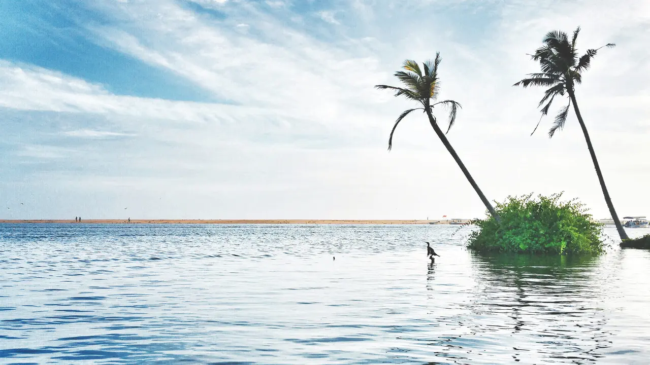 Poovar beach and backwaters in Kerala